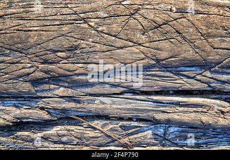 Fond en bois naturel marqué par des rainures. Banque D'Images