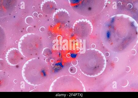 Arrière-plan abstrait rose, cercles de lumière sur l'eau. Couleurs pastel fraîches. Arrière-plan flou. Macro Banque D'Images