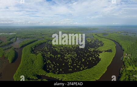 Arbres de cyprès qui se réfléchit au lac Caddo, Texas Banque D'Images