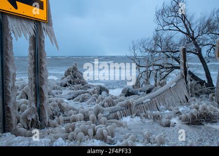 Arbres enfermés dans la glace dans la tempête d'hiver du lac Érié Banque D'Images