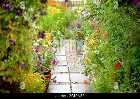 Une jolie et colorée clôture d'un chalet privé de style britannique jardin d'été en pleine fleur avec des fleurs débordant sur le chemin. Banque D'Images