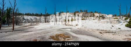 Cavern Terrace une terrasse morte dans le parc national de Mammoth Hot Springs Yellowstone. Photo de haute qualité Banque D'Images
