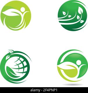 Images du logo Ecologie Illustration de Vecteur