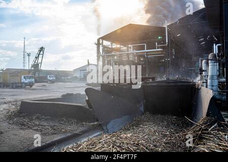 Certaines usines de sucre du Venezuela arrêtent le travail pour des raisons la pénurie de carburant diesel pour le transport de la canne à sucre puis supprimez le processus Banque D'Images