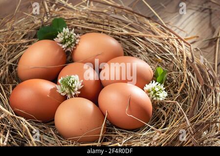Plusieurs œufs de poulet frais crus dans un nid de foin sur fond de bois Banque D'Images