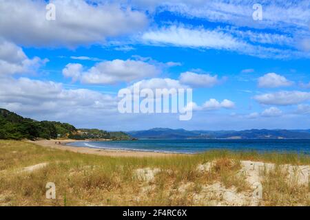 Kuaotunu Beach, une zone pittoresque préservée sur la péninsule de Coromandel, Nouvelle-Zélande Banque D'Images