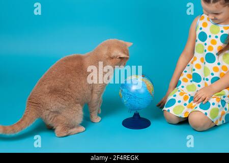 Une jeune fille de cinq ans vêchée d'une robe d'été blanche est assise sur le sol près du globe et joue avec un chat britannique rouge, isolé sur un fond bleu Banque D'Images