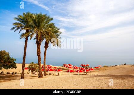 Ein Gedi oase, au bord de la Mer Morte dans le désert du Néguev. Israël Banque D'Images