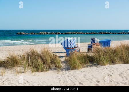 Steckörbe an einem feinen Sandstrand an der Ostseeküste von Schleswig-Holstein Banque D'Images