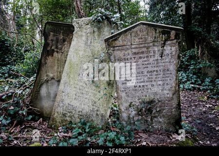 Sépultures surcultivées et délabrées, cimetière victorien de Nunhead, Londres, Royaume-Uni. Banque D'Images