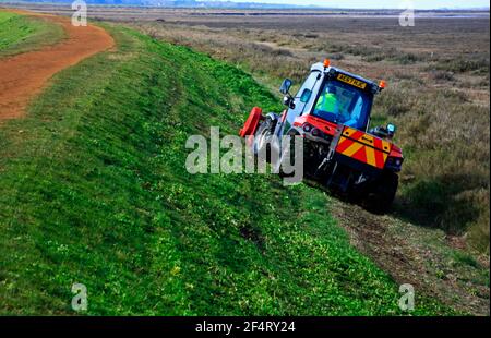 L'Agence de l'environnement coupe la végétation et maintient le mur de mer et le chemin de la côte de Norfolk à Burnham Overy Staithe, Norfolk, Angleterre, Royaume-Uni. Banque D'Images