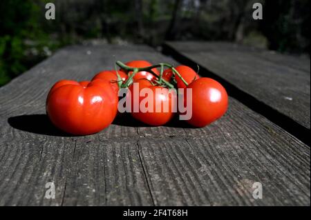 plusieurs tomates et un couteau sur une table en bois à l'extérieur Banque D'Images