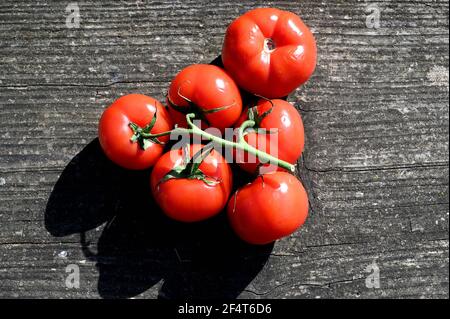 plusieurs tomates sur une table en bois à l'extérieur Banque D'Images