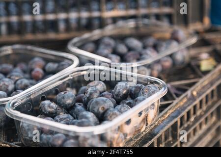 Bleuets dans plateau en plastique transparent bleuets fraîchement récoltés sur la cour de ferme, concept alimentaire. Banque D'Images