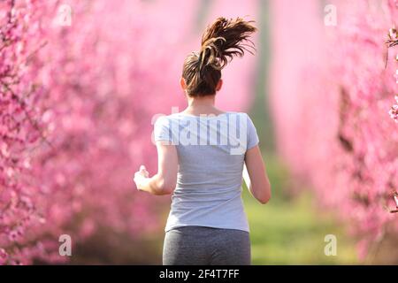 Vue arrière de la femme de course entre les fleurs dans un champ Banque D'Images