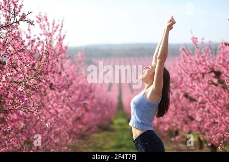 Portrait de vue latérale d'une femme excitée levant les bras célébrant vacances dans un champ rose de pêchers au printemps Banque D'Images