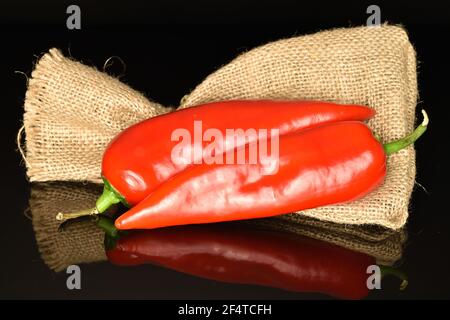 Deux piments Kapia biologiques entiers avec sac de jute, gros plan, isolés sur du noir. Banque D'Images