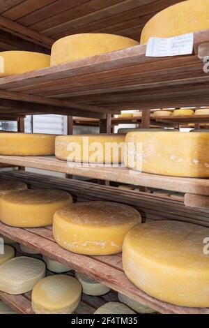 São Roque de Minas - MG, Brésil - 12 décembre 2020 : stockage du fromage dans le processus de mûrissement à Roça Da Cidade, fabrication artisanale de fromage, Serra da Canas Banque D'Images