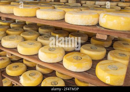 São Roque de Minas - MG, Brésil - 12 décembre 2020 : stockage du fromage dans le processus de mûrissement à Roça Da Cidade, fabrication artisanale de fromage, Serra da Canas Banque D'Images