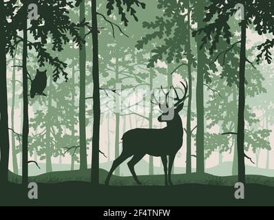 Cerf avec des bois posant, fond de forêt, silhouettes d'arbres. Paysage magique et brumeux. Illustration. Illustration de Vecteur