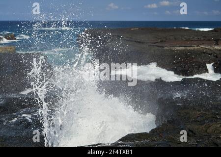 Vagues s'écrasant sur des roches de lave sur le rivage des îles galapagos, provoquant des jets d'eau de mer blancs et sauvages, Equateur, amérique du Sud Banque D'Images