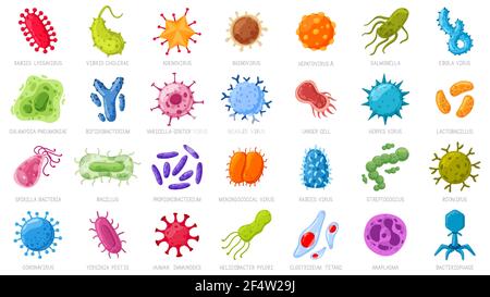 Virus et microbes de dessin animé. Maladie causant des germes, coronavirus et rotavirus. Jeu d'icônes d'illustration de vecteur de micro-organismes d'infection bactérienne Illustration de Vecteur