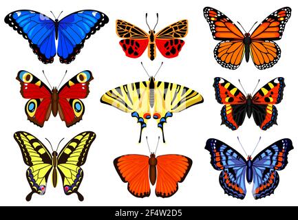 Papillons de bande dessinée. Insectes colorés volant, insecte papillon de printemps, jardin d'été volant papillons. Illustration du vecteur insectes papillons Illustration de Vecteur