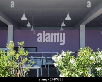 Russie, Sotchi 28.06.2020. Une salle à manger avec des murs de lilas, des fleurs en premier plan et des lampes blanches suspendues au plafond Banque D'Images