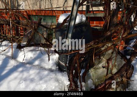 De la neige fondante s'écoule du toit par un drain vers le bas au sol Banque D'Images