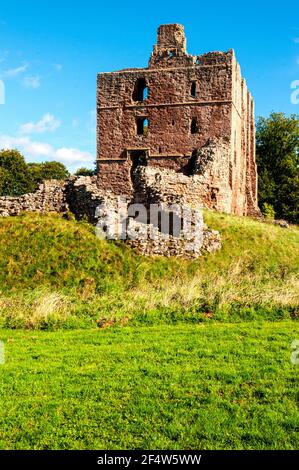 Les ruines de la première classe ont énuméré cinq étages rectangulaires Grande tour du château de Norham commandée par l'évêque de Durham au XIIe siècle Banque D'Images