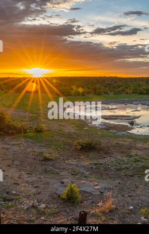 Trou d'eau de Moringa camp de Halali dans le parc national d'Etosha au coucher du soleil en Namibie, vertical Banque D'Images