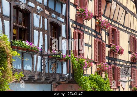 Bâtiment à colombages dans la Riquewihr historique le long de la route des vins (route des vins), Alsace France Banque D'Images