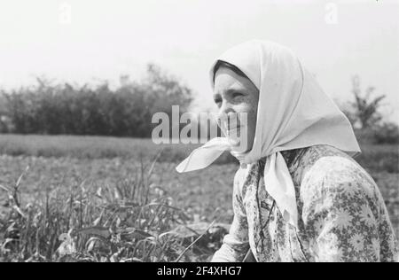 Deuxième Guerre mondiale. Pour l'affichage. Union soviétique. Portrait d'une petite fille paysanne Banque D'Images