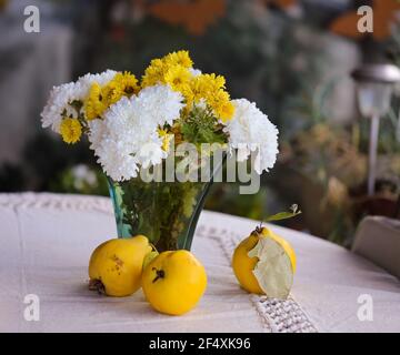 fleurs et quinces de chrysanthème, classiques de l'automne Banque D'Images