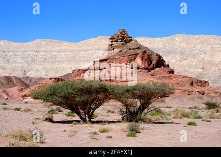 La colline Spiral est l'un des monuments populaires de Timna Park dans le sud du désert du Néguev en Israël Banque D'Images