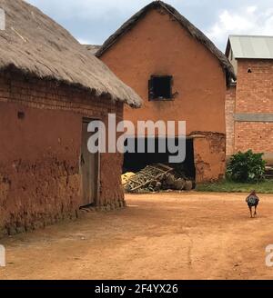 Maisons traditionnelles de village en argile rouge rurale malgache Banque D'Images