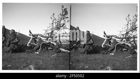 À Tromsø / Norvège: Dans le camp de semences. Stockage de la famille de semences Banque D'Images