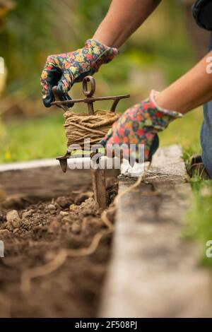 Femme en gros plan tordant la ficelle autour du lit de jardin surélevé Banque D'Images