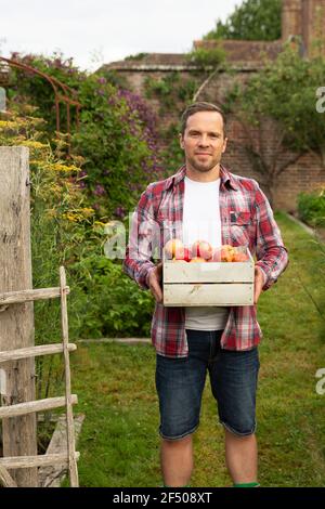 Portrait fier homme avec caisse de pommes fraîches récoltées dans jardin Banque D'Images