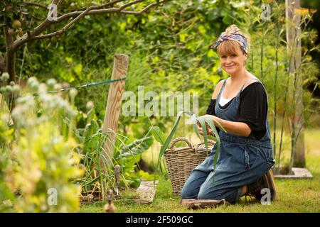 Portrait confiante femme récolte des poireaux frais dans le jardin Banque D'Images