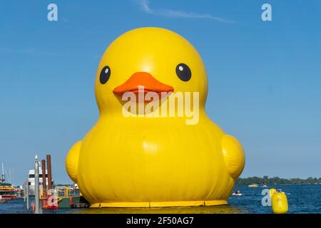 Canard géant en caoutchouc célébrera le 150e anniversaire du Canada, Toronto, Canada - 30 juin 2017 Banque D'Images