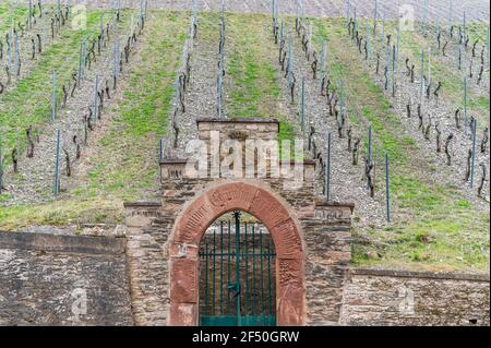 Architecture viticole dans la vallée de la Moselle, Maximin Grünhaus, Mertesdorf, Allemagne Banque D'Images