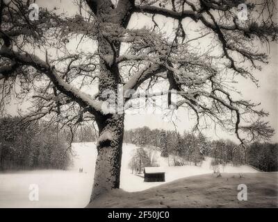 DE - BAVIÈRE: L'hiver le long du Kalvarienberg à Bad Toelz Banque D'Images