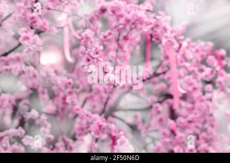 Arrière-plan abstrait flou de fleurs de cerisier rose ou de fleurs de sakura. Mise au point douce. Arrière-plan floral printanier avec espace de copie Banque D'Images