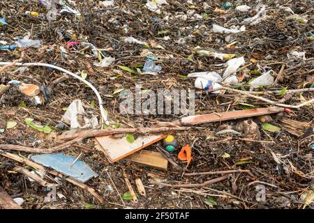 Litière marine, y compris le plastique lavé à l'algue sur les rives d'Arrochar, Loch long, Écosse, Royaume-Uni Banque D'Images