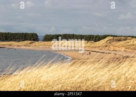 Trois personnes marchant sur la plage de sable de Shell Bay près d'Elie, Fife, Écosse. Banque D'Images