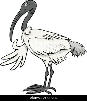 Illustration graphique du drôle de personnage animal d'oiseau ibis Illustration de Vecteur