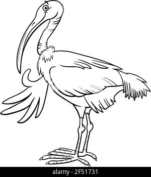 Illustration de dessin animé noir et blanc d'un drôle d'animal d'oiseau ibis page de livre de coloriage de caractères Illustration de Vecteur