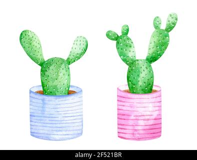 Ensemble aquarelle de cactus mignons dans des pots bleus et roses décorés. Illustration de la maison isolée sur fond blanc. Banque D'Images