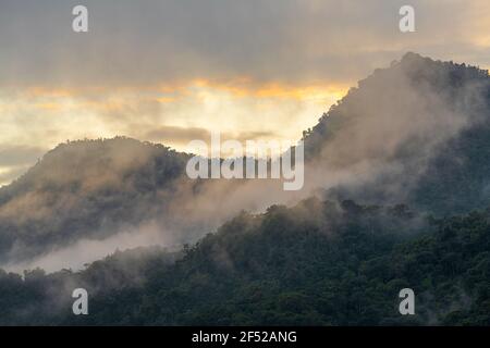 Paysage de la forêt nuageuse au lever du soleil, Mindo, région de Quito, Équateur. Banque D'Images